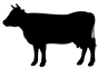 product_icon_animal_cow_71