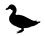 product_icon_animal_duck_7