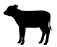 product_icon_animal_fawn_7