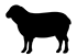 product_icon_animal_sheep_7